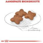 8 kg + 1 kg gratis! Royal Canin Bonus Bag droogvoer voor honden 9 kg – Mini Adult (8 kg + 1 kg gratis!)