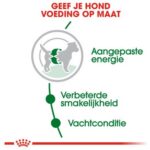 8 kg + 1 kg gratis! Royal Canin Bonus Bag droogvoer voor honden 9 kg – Mini Adult (8 kg + 1 kg gratis!)
