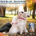 Huid & vacht Hond – Omega 3-6-9 – 60 stuks – Kauwsnack – Voor gezonde huid – Glanzende vacht – Tegen haarverlies – Kale plekken – bij honden