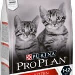 3 kg Kitten Healthy Start Rijk aan kip Purina Pro Plan Kattenvoer