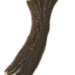 Nylabone Extreme kauwbot – Nylon Houten stok met baconsmaak – Voor de Krachtigste Kauwers – In Medium of Extra Large – Medium