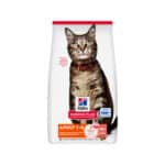 Hill’s Science Plan Adult 1-6 Zalm Droogvoer voor Katten – 3 kg
