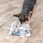 Trixie Dog Activity Hide’n’Sniff Bowl Ø18 cm hond